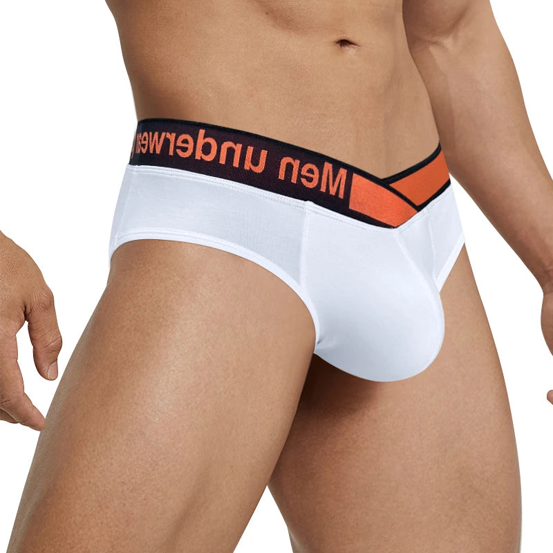 V-belt Briefs
